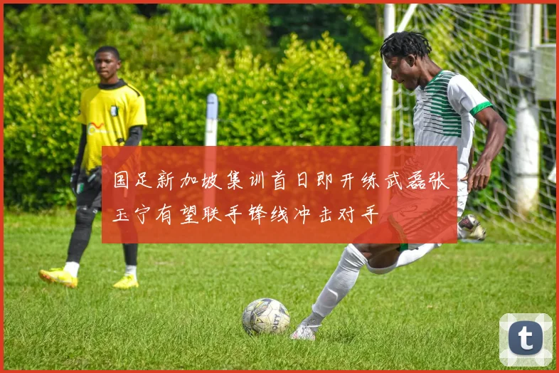 国足新加坡集训首日即开练武磊张玉宁有望联手锋线冲击对手
